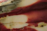 Colorful, Polished Mookaite Jasper Slab - Australia #239698-1